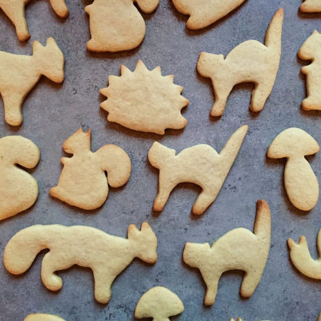 Biscoitinho Delícia