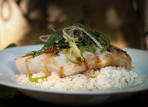 Filé de Tilápia ao Coco