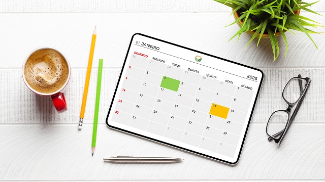 Planejador 2025: organize-se de maneira eficaz!